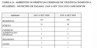 Vereadora Silvana Ribas (MDB), tomou iniciativas para fortalecer, a rede de defesa da mulher palmense!