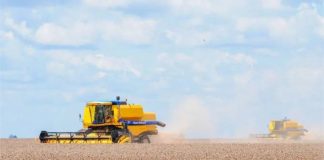 Biotecnologia pode tornar agricultura resistente às mudanças climáticas