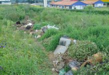 Palmas: Moradores reclamam das condições de terrenos baldios