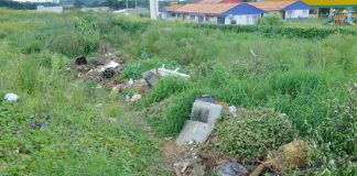 Palmas: Moradores reclamam das condições de terrenos baldios