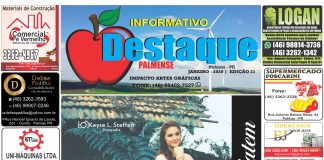 INFORMATIVO DESTAQUE PALMENSE