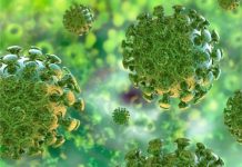 Coronavírus epidemia mundial?