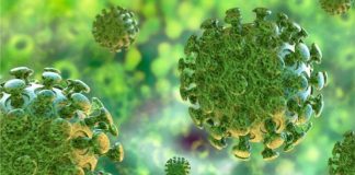 Coronavírus epidemia mundial?