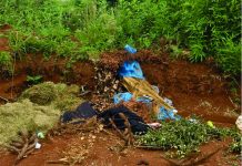 Lixos em terrenos baldios preocupa moradores palmenses