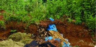 Lixos em terrenos baldios preocupa moradores palmenses