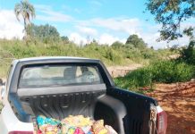 Vigilância Sanitária de Cel. Domingos Soares constata descarte irregular de alimentos