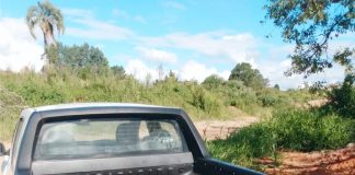 Vigilância Sanitária de Cel. Domingos Soares  constata descarte irregular de alimentos