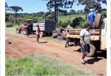 Comunidade indígena Caingangue recolhe pneus para  evitar proliferação do mosquito Aedes Aegypti