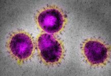 Ministério da Saúde confirma caso de coronavírus no Brasil e 20 suspeitas