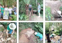 Mais uma Ação do Projeto Proteja uma Nascente