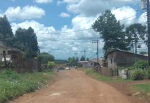 DENÚNCIAS DE LEITORES: RUA EM PALMAS É O VERDADEIRO RETRATO DO POVO ABANDONADO PELA PREFEITURA