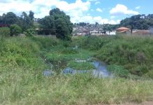 NEM O RIO LAGEADO ESCAPA DE AFOGAR-SE NO MATO, FRUTO DA AUSÊNCIA DO PODER PÚBLICO