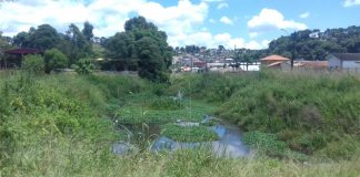 NEM O RIO LAGEADO ESCAPA DE AFOGAR-SE NO MATO, FRUTO DA AUSÊNCIA DO PODER PÚBLICO