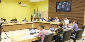 Aprovado, em segunda votação, projeto de lei que institui a “Semana do Bebê”