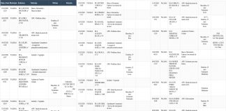 Relatório de Ocorrências atendidas pelo Corpo de Bombeiros de Palmas – 9 a 15 mar. 2020