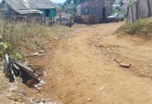 PALMAS 1 E O DESCASO DO EXECUTIVO MUNICIPAL