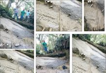 Mais uma ação do Projeto Proteja uma Nascente