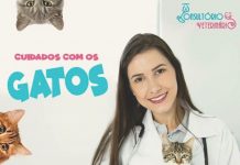 PARACETAMOL PODE MATAR SEU GATO