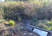 PARTE DO RIO LAJEADO JÁ NASCE EM MEIO AO ESGOTO