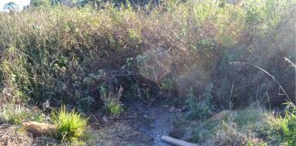 PARTE DO RIO LAJEADO JÁ NASCE EM MEIO AO ESGOTO