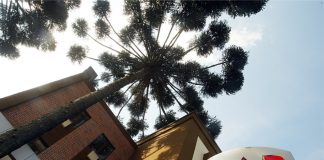 Advocacia continua prevista como atividade essencial em novo decreto estadual