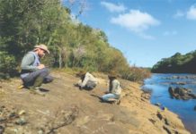 Estudo arqueológico realiza descoberta inédita na região de Palmas