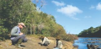 Estudo arqueológico realiza descoberta inédita na região de Palmas