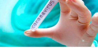 Palmas tem 24 pacientes curados da Covid-19