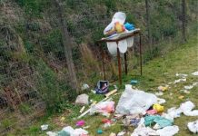 LIXO ESPALHADO PELA CIDADE, ANIMAIS DE RUA, PACIENTES PSIQUIÁTRICOS NAS ESQUINAS E AUSÊNCIA DE COBERTURA EM PONTOS DE ÔNIBUS SÃO APENAS A PONTA DO ICEBARG DE UMA ADMINISTRAÇÃO PÚBLICA AUSENTE