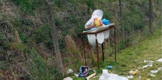 LIXO ESPALHADO PELA CIDADE, ANIMAIS DE RUA, PACIENTES PSIQUIÁTRICOS NAS ESQUINAS E AUSÊNCIA DE COBERTURA EM PONTOS DE ÔNIBUS SÃO APENAS A PONTA DO ICEBARG DE UMA ADMINISTRAÇÃO PÚBLICA AUSENTE