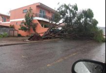 Palmas enfrenta danos ocasionados pelo forte temporal