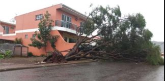 Palmas enfrenta danos ocasionados pelo forte temporal