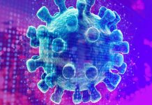 Palmas tem 82 pacientes curados da Covid-19