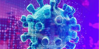 Palmas tem 82 pacientes curados da Covid-19