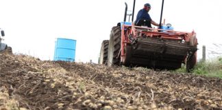 Soja e batata representam mais de 50% da produção agrícola de Palmas
