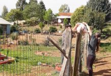 COLÉGIO ESTADUAL SEBASTIÃO PARANÁ – CESP FAZ ENTREGA DE KITs de ALIMENTOS E DE MATERIAL IMPRESSO NAS COMUNIDADES DO PITANGA, ASSENTAMENTO CRUZEIRO E VILA RURAL