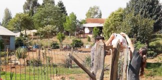 COLÉGIO ESTADUAL SEBASTIÃO PARANÁ – CESP FAZ ENTREGA DE KITs de ALIMENTOS E DE MATERIAL IMPRESSO NAS COMUNIDADES DO PITANGA, ASSENTAMENTO CRUZEIRO E VILA RURAL