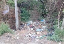 CONSCIENTIZAÇÃO AMBIENTAL FAZ FALTA EM PALMAS