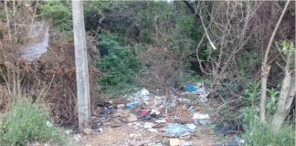 CONSCIENTIZAÇÃO AMBIENTAL FAZ FALTA EM PALMAS