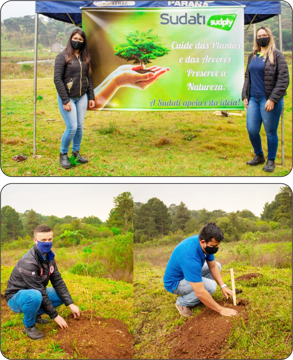 Indústria de Compensados Sudati fomenta a importância da árvore para o ecossistema Jornal