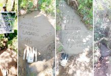 Mais uma ação do projeto Proteja uma Nascente