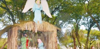 Prefeitura de Palmas prepara decoração do Natal dos Ventos 2020