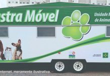 Cadê o Castramóvel?