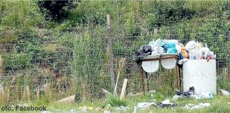 Demora na efetivação da nova empresa responsável pela coleta de lixo e limpeza urbana causa manifestações midiáticas dos moradores de Palmas