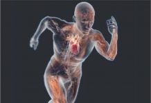 Recordes incríveis do mundo dos esportes