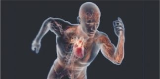 Recordes incríveis do mundo dos esportes