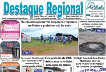 CAPA JORNAL DESTAQUE REGIONAL 29/01