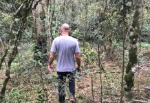 Cel. Domingos Soares começa estudo para criação de parque ecológico