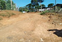 Palmas 1, retrato de descaso do poder público