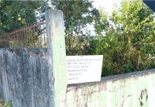 Falta de cuidado em terreno no perímetro central preocupa moradores